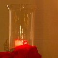 IMG_1396
