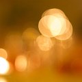 IMG_1409